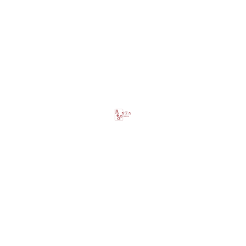 metodo Feuerstein