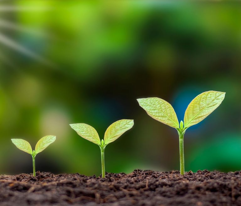 Come impara un bambino