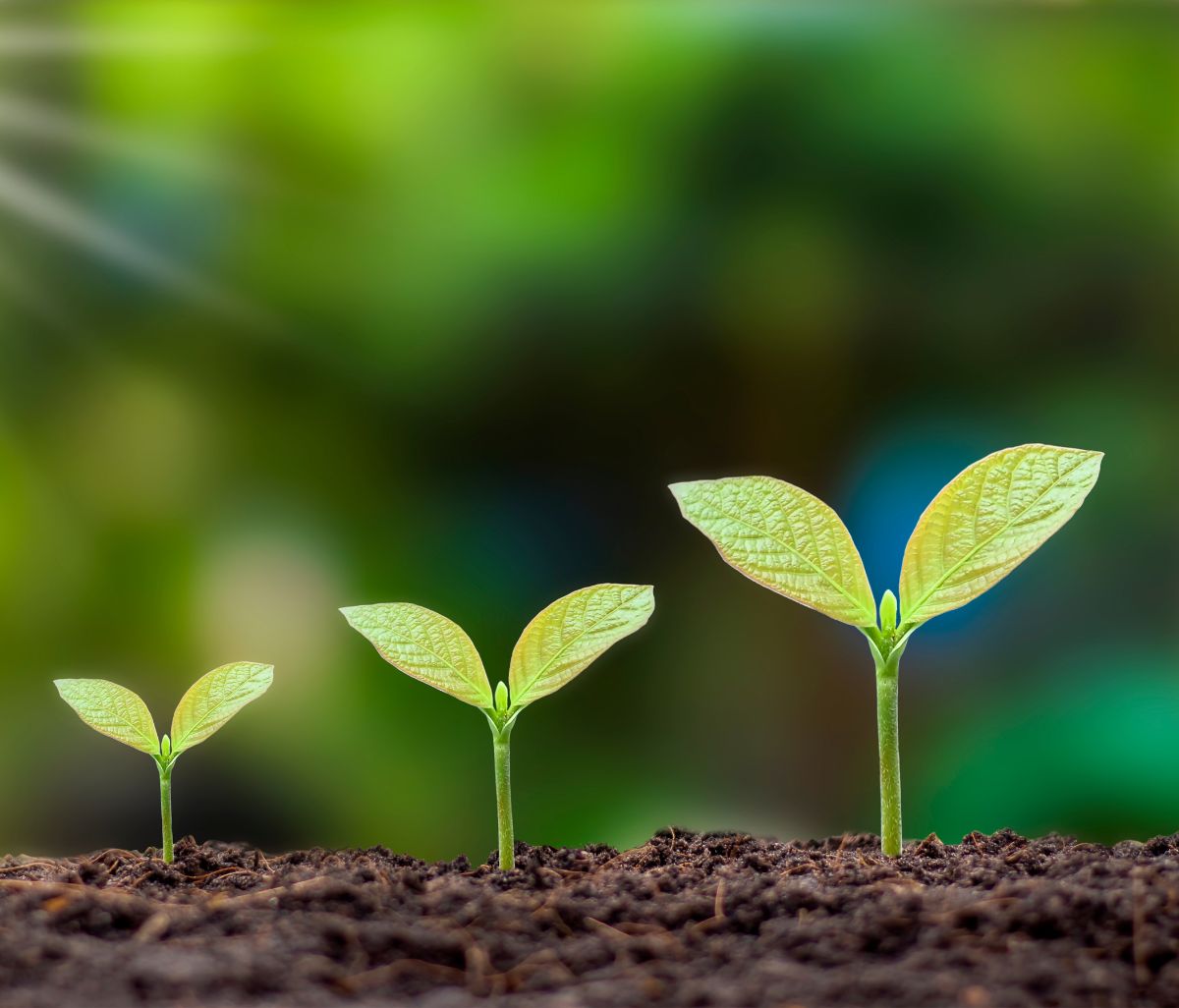 Come impara un bambino